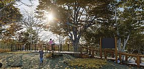 Punkt widokowy na Królewskim Wzgórzu coraz bliżej