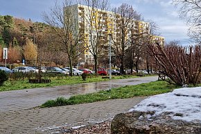 Pierwszy śnieg tej jesieni w Sopocie! Ulotna biała pierzynka na Brodwinie [FOTO]-1718