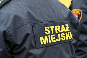 Zapuka strażnik, zapłacisz karę. Ruszyły kontrole w całej Polsce-36325