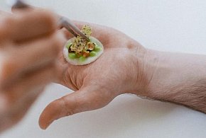 Sopot i Praga łączą siły w sztuce! Zobacz wystawę inspirowaną życiem grzybów-36501