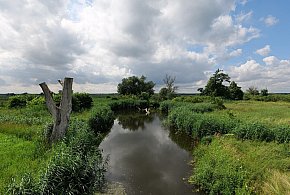 Co dalej z nowym parkiem narodowym? Minister klimatu zdradza plan po wecie-37084