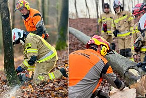 Strażacy z Sopotu szkolili się w lesie! W ruch poszły pilarki-38134