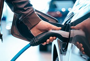 Coraz częściej dochodzi do takich kradzieży. Powody zaskakują-38813