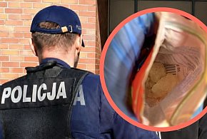 To, co znaleźli, trafiło do biegłych! Zaskakująca kontrola policji w Sopocie