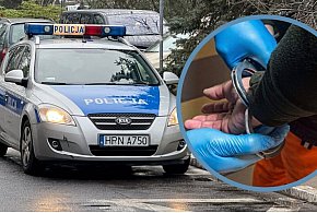 Podrobione tablice i nielegalny pobyt! Sprawa z Sopotu trafiła do prokuratury