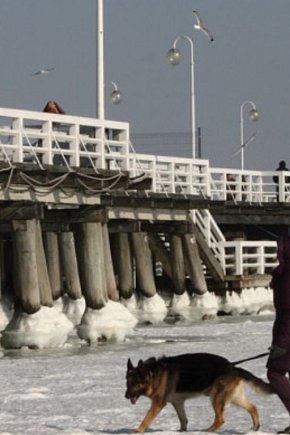 Tamtej zimy Sopot był jak z Krainy Lodu! Morze zamarzło aż po horyzont [FOTO]-1492