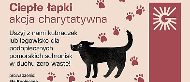 Akcja charytatywna "Ciepłe łapki"-8295