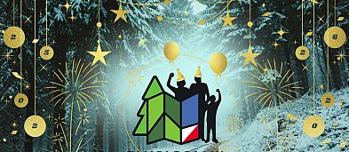 Sylwestrowe Z Mapą do Lasu - trening dla wszystkich-8690