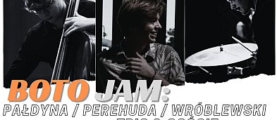 Koncert z cyklu BOTO JAM: Pałdyna / Perehuda / Wróblewski Trio-8685
