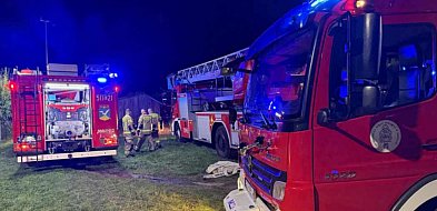 Pożar na działkach w Sopocie. Strażacy pracowali blisko dwie godziny-35565