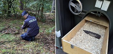 Grzybiarz odnalazł niewybuch z II wojny światowej w sopockim lesie-36007