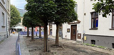Nowe ustalenia w sprawie ul. Bema! Władze Sopotu wysłuchały mieszkańców-36480