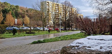 Pierwszy śnieg tej jesieni w Sopocie! Ulotna biała pierzynka na Brodwinie [FOTO]-37190