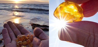 Wyrusz na poszukiwanie "złota Bałtyku" w Sopocie-37238