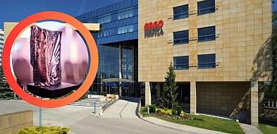 Sopocki ubezpieczyciel wzorem dla branży! Podwójna nagroda dla ERGO Hestii-37268