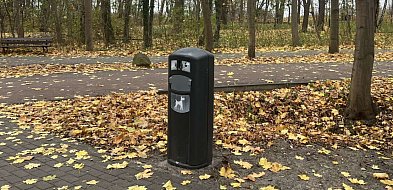 Czysty Sopot dla wszystkich? Radny chce więcej koszy na psie odchody-37368