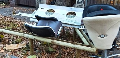 Nowe nasadzenia w Sopocie zdewastowane! Zamiast tawuł i irg – zużyte fotele-37386