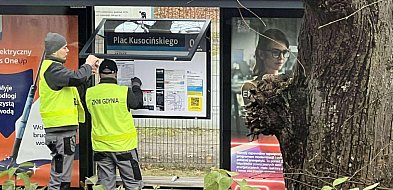 Autobusy nowej linii 177 już kursują po Sopocie-37572