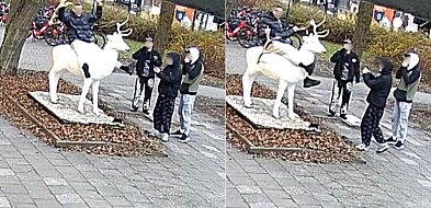 Kto zniszczył białego jelenia w Sopocie? Właściciel rzeźby apeluje o pomoc-37680