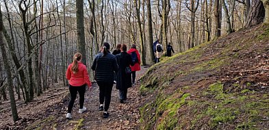 Sopot czeka wielkie sprzątanie! Kto zadba o lasy i place zabaw?-37815
