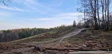 Co czeka Łysą Górę w Sopocie? Przyszły rok przyniesie istotną zmianę-37869