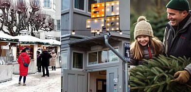 Tydzień w Sopocie – Teatr przy Stole, koncerty i spacery-37950