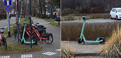 Sopocianin skarży się na chaos na chodnikach [OPINIA]-37989