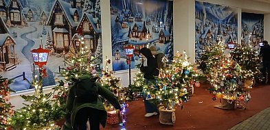 Ponad 30 choinek rozbłyśnie przy sopockim molo-37998