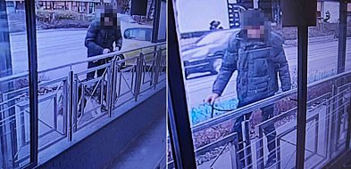 Ukradł psa sprzed sklepu w Sopocie! Jego ofiarą padł husky warty 3 tys. zł-38122