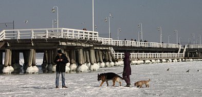Tamtej zimy Sopot był jak z Krainy Lodu! Morze zamarzło aż po horyzont [FOTO]-38185