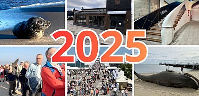Tym żył Sopot w 2025! Wieloryb na plaży, foka Monciak i zmiany w gastronomii-38308