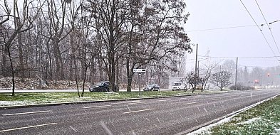 Znamy plany Sopotu na 2026 rok. Przed nami kolejny remont Alei Niepodległości-38326