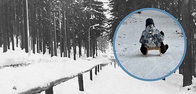 Toru saneczkowego w Sopocie nie będzie! Co poszło nie tak?-38608