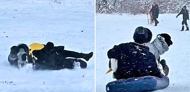 Myśleli, że się bawi, a pies się męczył. Smutne kulisy "zimowej zabawy" w Sopocie-38683