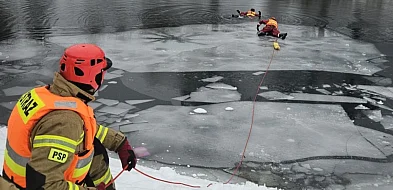 Lód pękał pod nogami! Akcja ratowników na stawie w Sopocie-38695