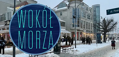 To zmieni twoje spojrzenie na morze. Artyści i naukowcy łączą siły w Sopocie-38710