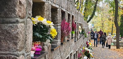 Cicha rewolucja na sopockim cmentarzu! Liczby mówią same za siebie