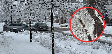 Atak zimy w Sopocie i Trójmieście. Opera Leśna zamknięta, imprezy odwołane