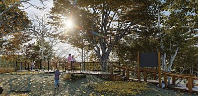 Sopot wybuduje nowy punkt widokowy! Szykuje się hit na nadchodzący sezon?