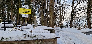 Cmentarz Komunalny w Sopocie znowu otwarty! Urzędnicy apelują o ostrożność