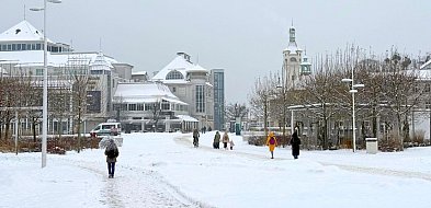 Gdzie zjeść i co zobaczyć w Sopocie? Sprawdziliśmy, co polecają internauci