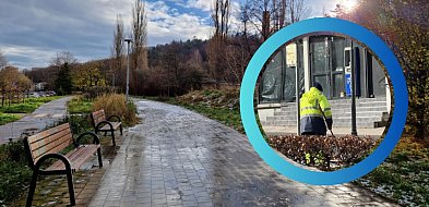 Sopot sprząta miasto po zimie! Prezydentka apeluje o zgłaszanie dziur w jezdni