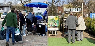 Oddaj elektrośmieci, odbierz sadzonkę! Popularna akcja wraca na Sopocki Rynek