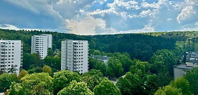 Urodziny ulicy 23 Marca w Sopocie! Przylesie zaprasza na sąsiedzkie święto