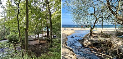 Granica Sopotu z Gdynią zyska nowe oznaczenie! Wiemy, co planują władze miasta