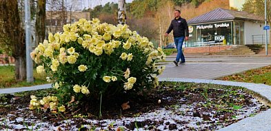 Przymrozki w Sopocie aż do poniedziałku! IMGW wydało ostrzeżenie 1 stopnia