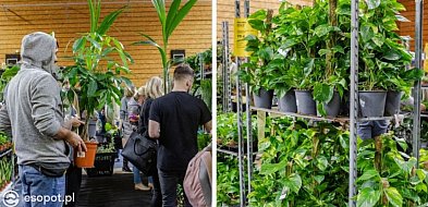 Festiwal Roślin wraca do Trójmiasta. Setki gatunków roślin i ceny już od 5 zł