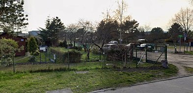 Co dalej z ROD Oaza przy granicy Sopotu i Gdańska? Czytelniczka bije na alarm