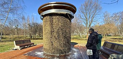 Sopot uruchamia tężnie solankowe! Wiemy, które już działają