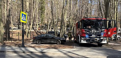 Ogień na sopockim cmentarzu. Na miejscu pracowali strażacy i policjanci